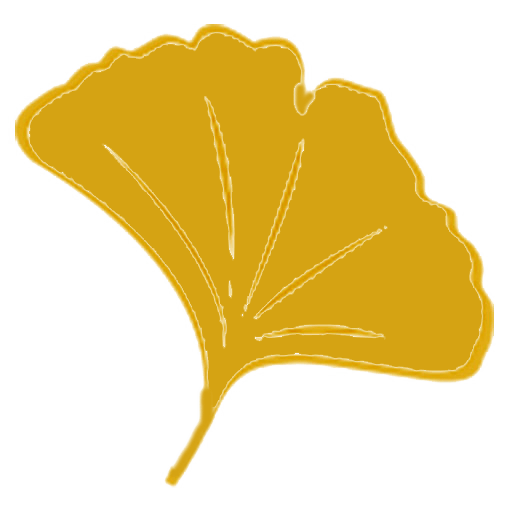 Schindler Naturheilpraxis Icon